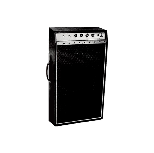 37080 Trendsetter Lead/Rhythm 20w Combo Amplifier