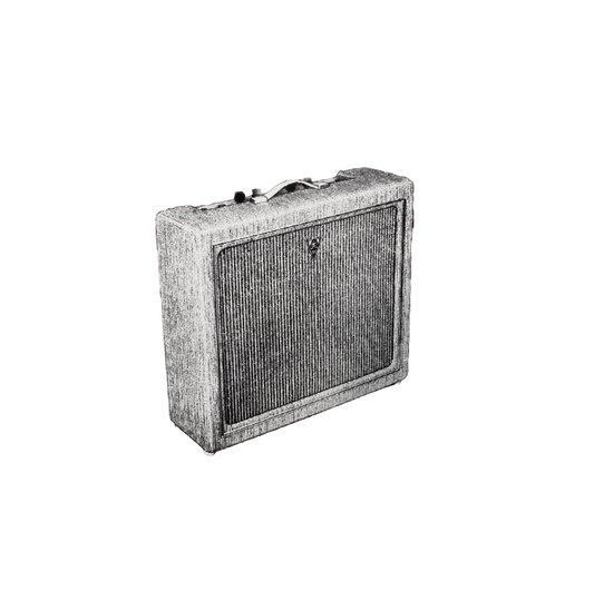 1761⚡️1760 30w Stereo Combo Amplifier