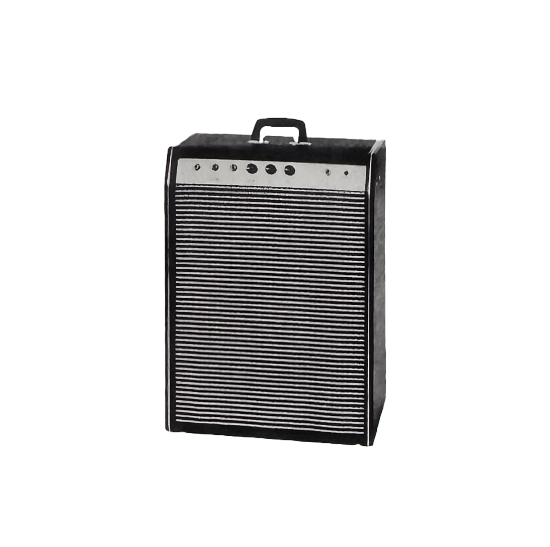 37023⚡️37024 Slimline "All Purpose" Combo Amplifiers