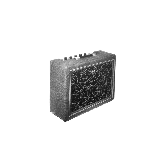 1756⚡️1757 15w Soloist Combo Amplifier